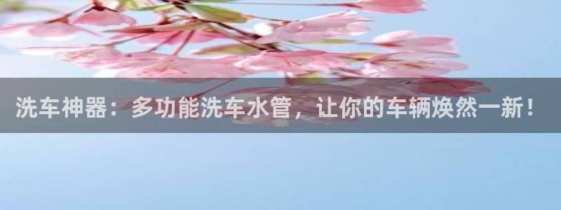 威九国际免费版