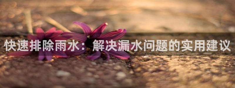 威九国际MV