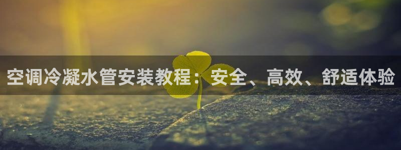 威九国际高清