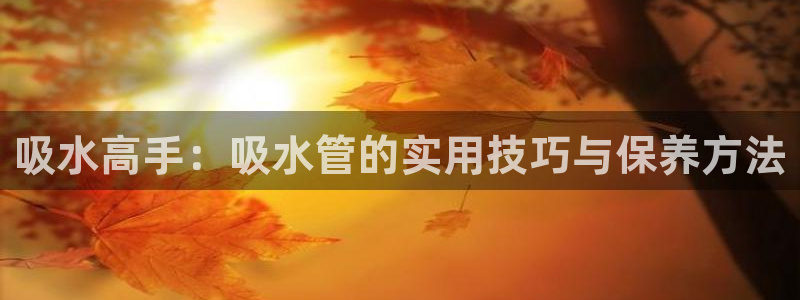 威九国际免费v5.5.2新版本特性