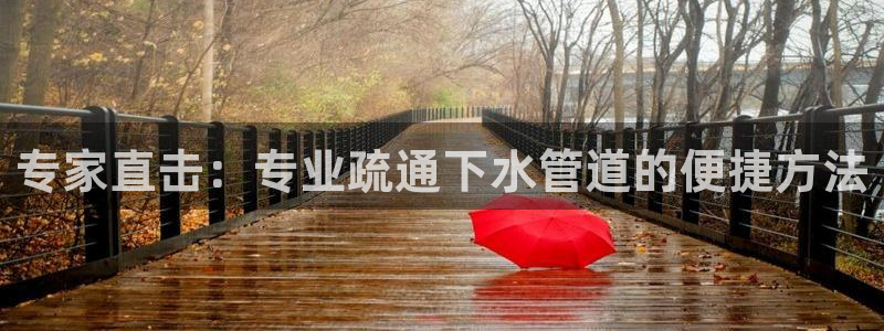威九国际留学