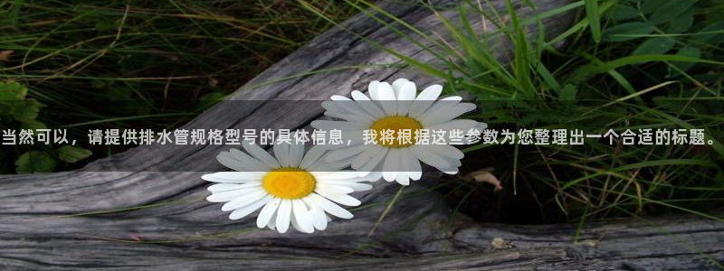 威九国际天美