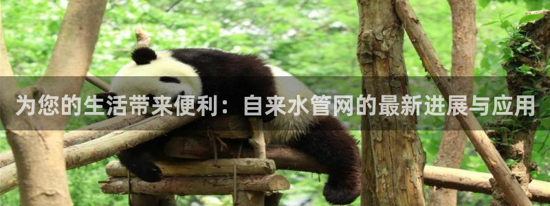 威九国际电子游戏
