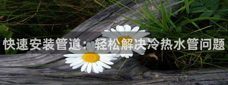 威九国际78mb官网版