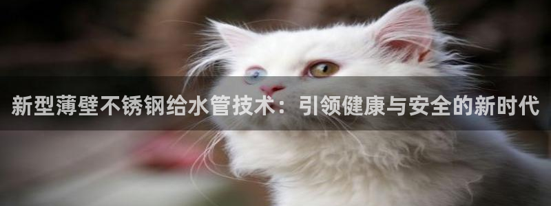 78mapp威九国际网页版