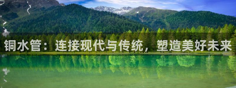 威九国际宣传片