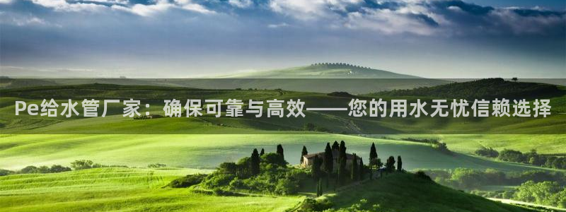 威九国际可以赚到钱