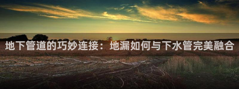 78mapp威九国际官网