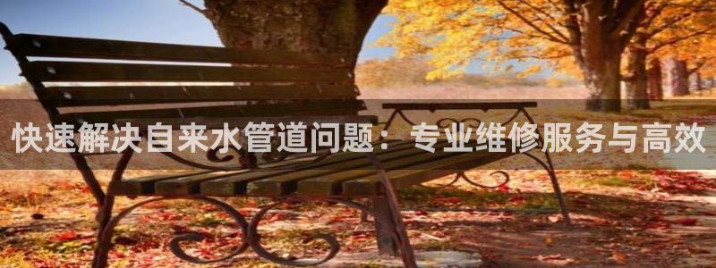 威九国际官网登录入口网站