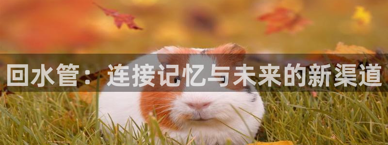 威九国际父亲的友人