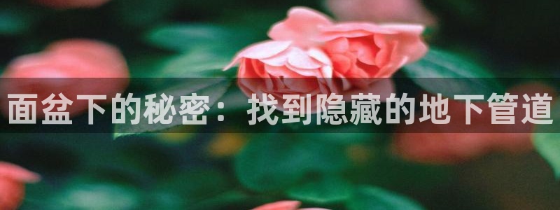 威九国际取款不到账