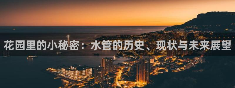 威九国际78m78下载