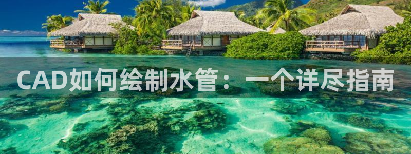 威九国际APP那个地方