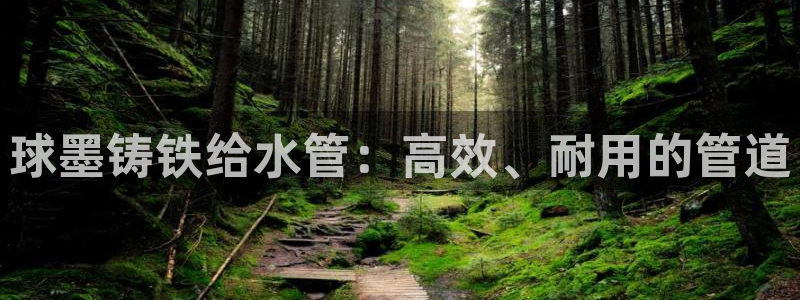 威九国际可以提现吗