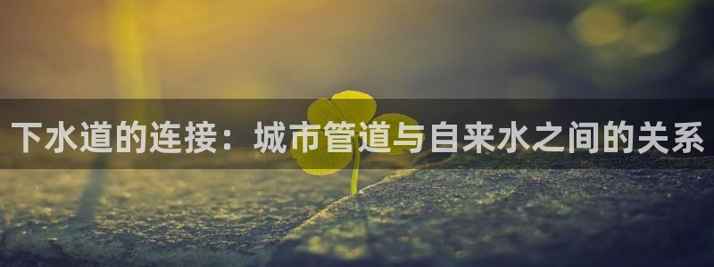 威九国际官网登录入口