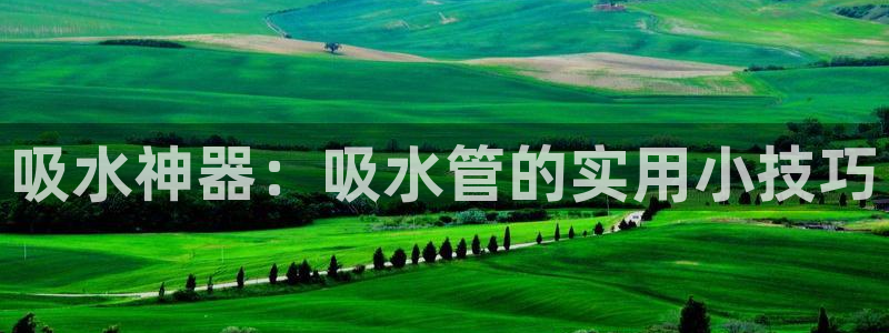 威九国际网站为什么不禁止