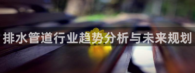 威九国际APP大全