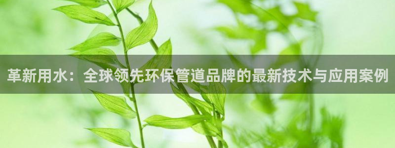威九国际可以赚到钱