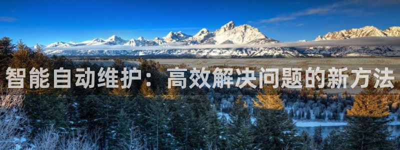 威九国际的女主