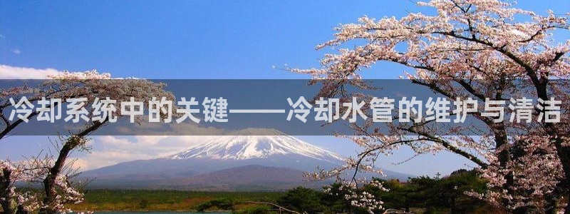 威九国际女主角