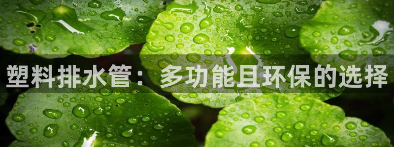 78mapp威九国际