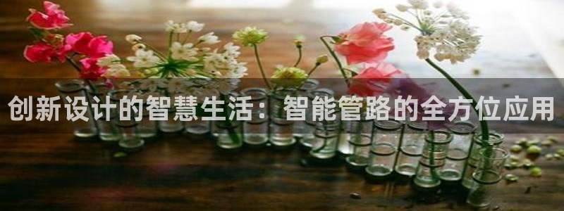 威九国际网站链接