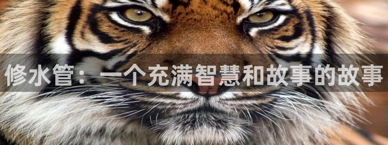 威九国际电视怎么样