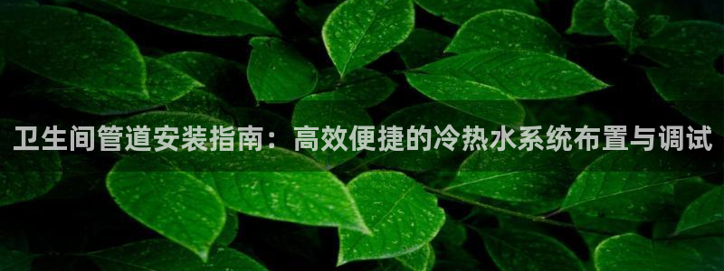威九国际空降视频