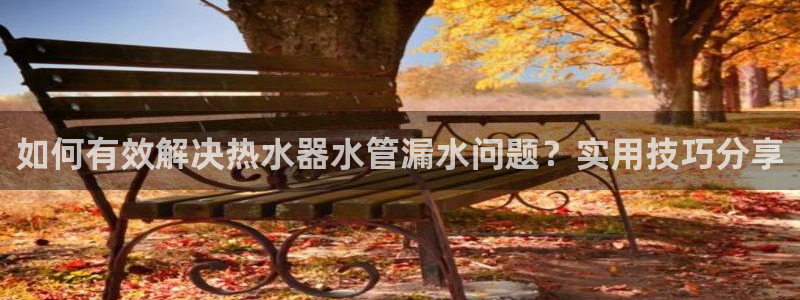 威九国际网站入口rdquo