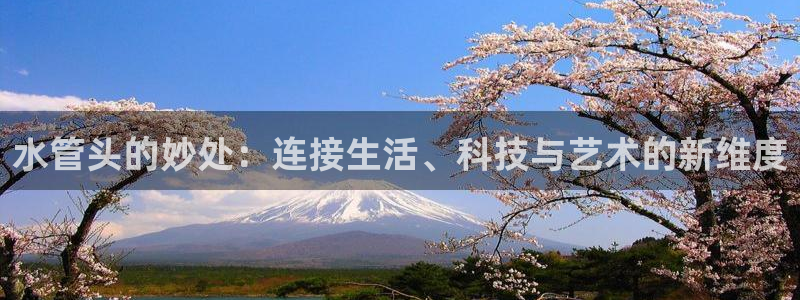 威九国际78ma