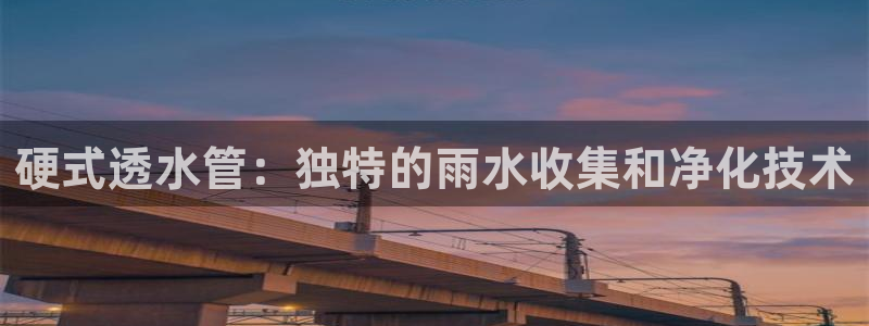威九国际理论片最经典十首歌曲