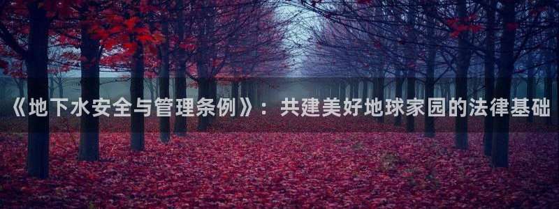 威九国际提款不出来