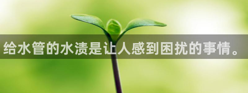 威九国际和之前