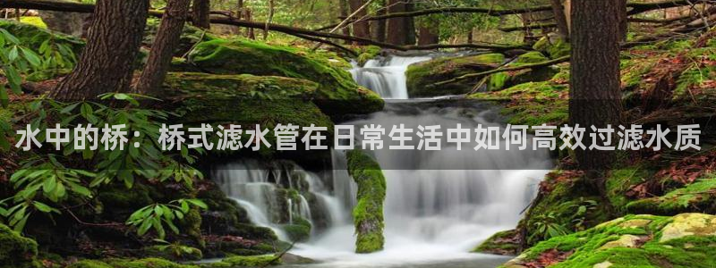 威九国际官方入口官网