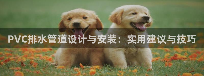 威九国际小剧场