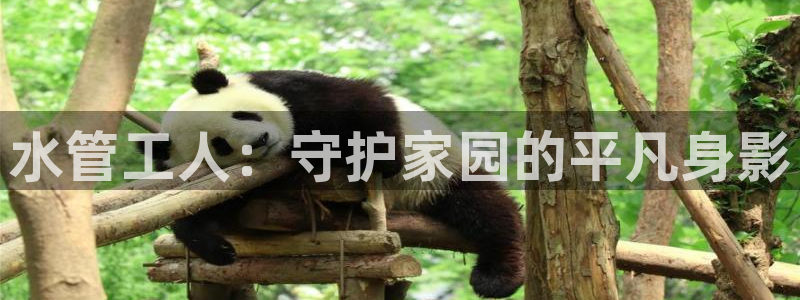 威九国际精选酒店地址