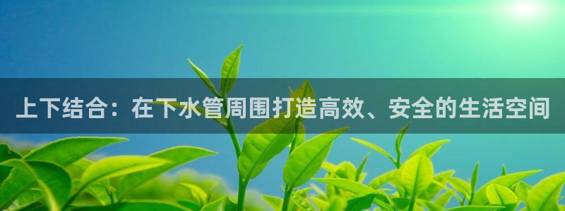 威九国际官网登录入口网址