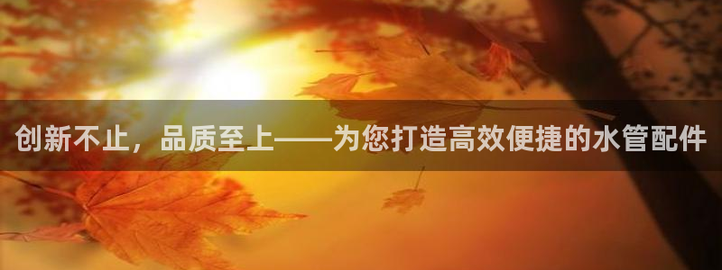 威九国际国精彩片段