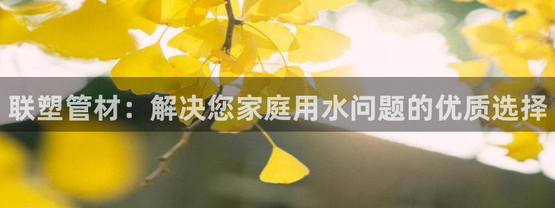 保定威九网络科技有限公司