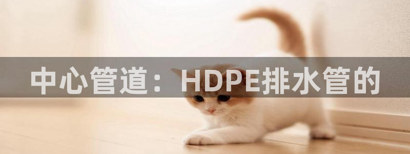 威九国际电影HD