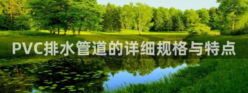 威九国际78mb 视频