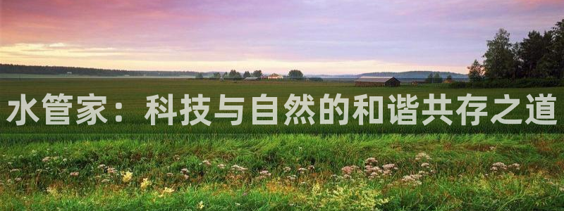 威九国际网站安全吗可靠吗