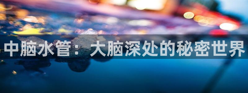 威九国际软件公司简介