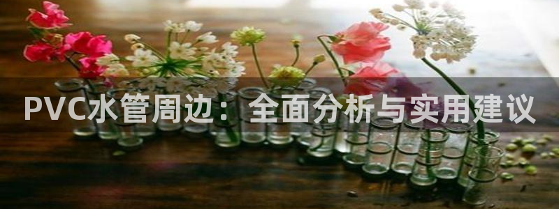 威九国际78mB官网版