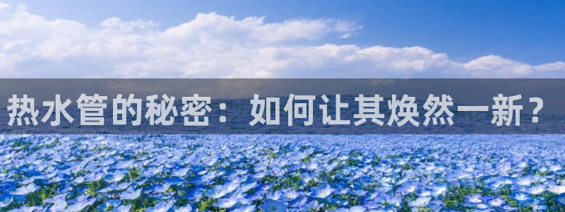 威九国际新人白发