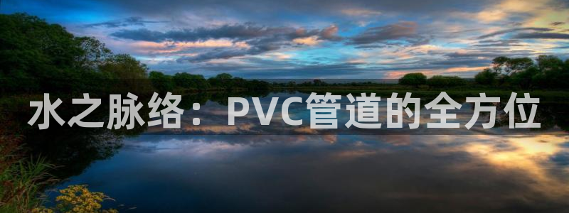 威九国际app客服电话号码