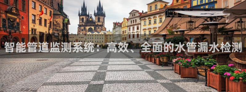 威九国际网站入口地址在哪里