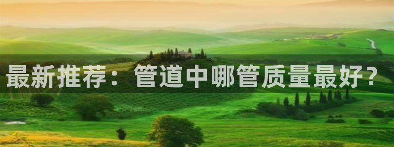 威九国际网站人入口