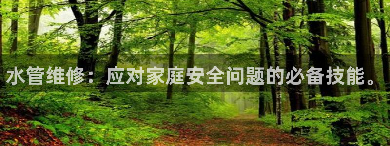 威九国际66m官网版