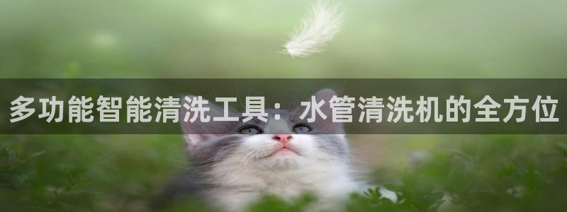 威九国际app入口在哪